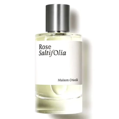ROSE saltifolia
