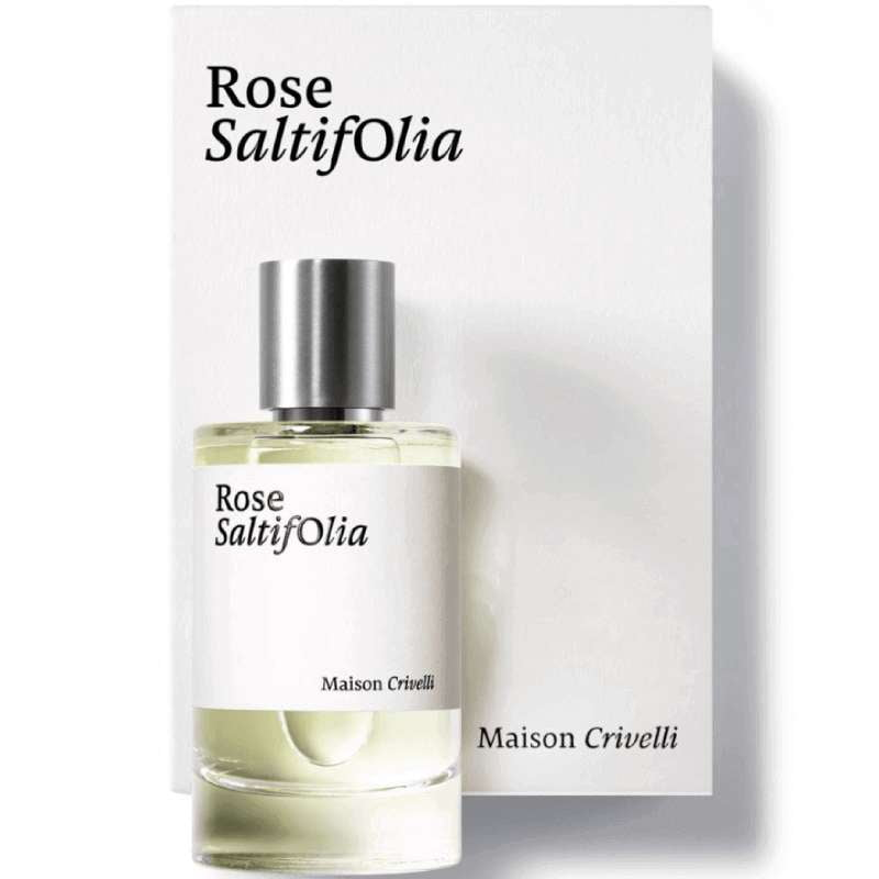 ROSE saltifolia - Image 5