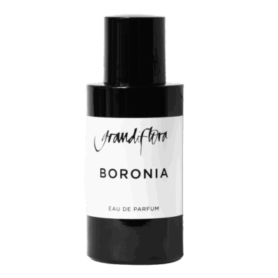 Grandiflora Boronia by Bertrand Duchaufour