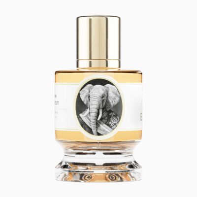 Elephant by Zoologist