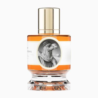 Camel by Zoologist
