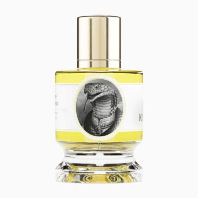 King Cobra by Zoologist