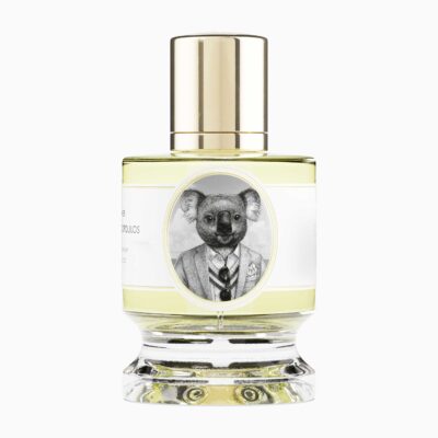 Koala by Zoologist