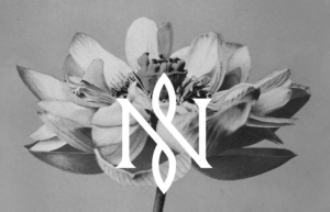 NISSABA_natural_perfumes_logo